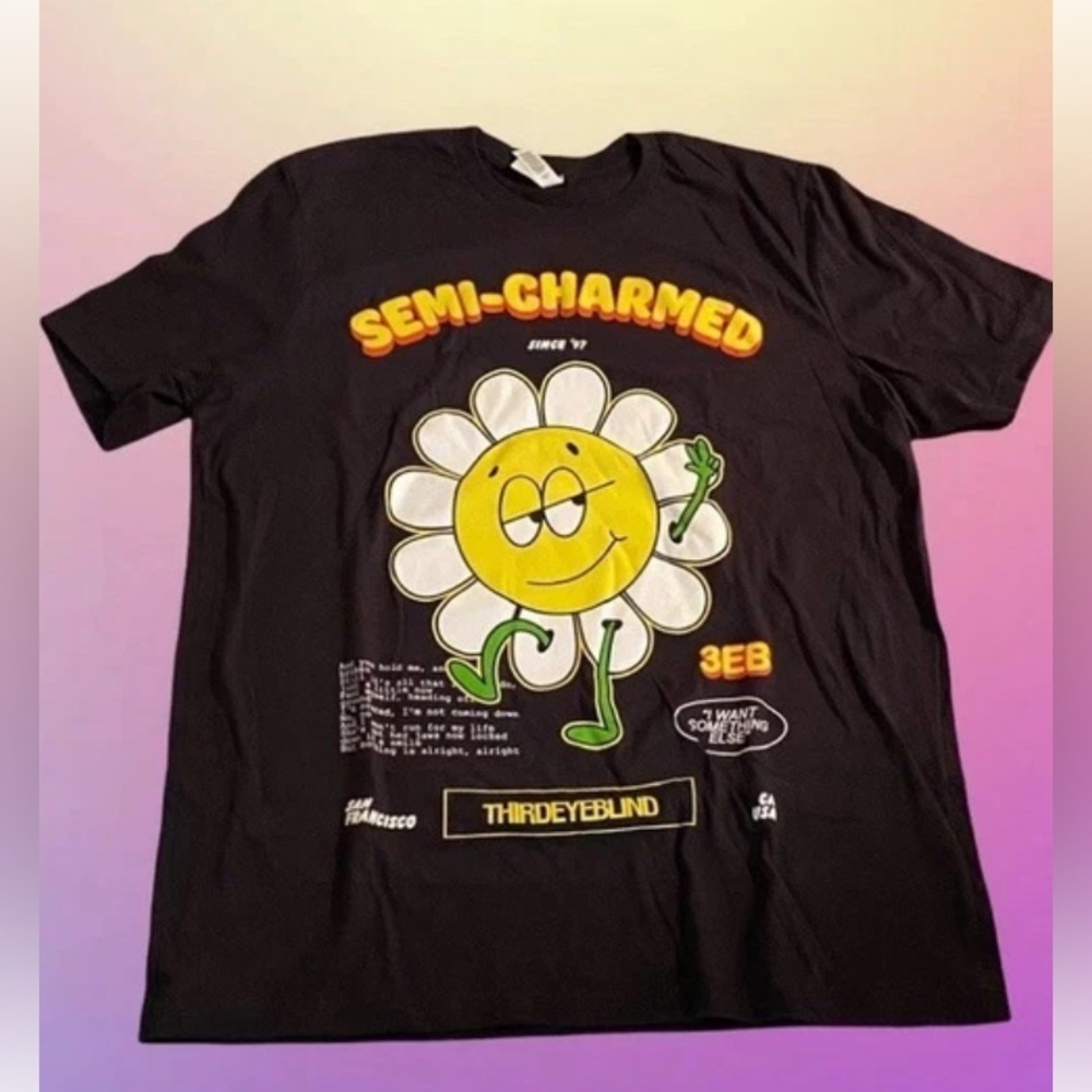 Third Eye Blind Semi Charmed Life Original Band Concert Shirt (Size XL)